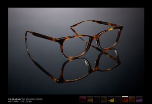 Portland_glasses_barton_perreira_cassady_eyeglasses_eye_department