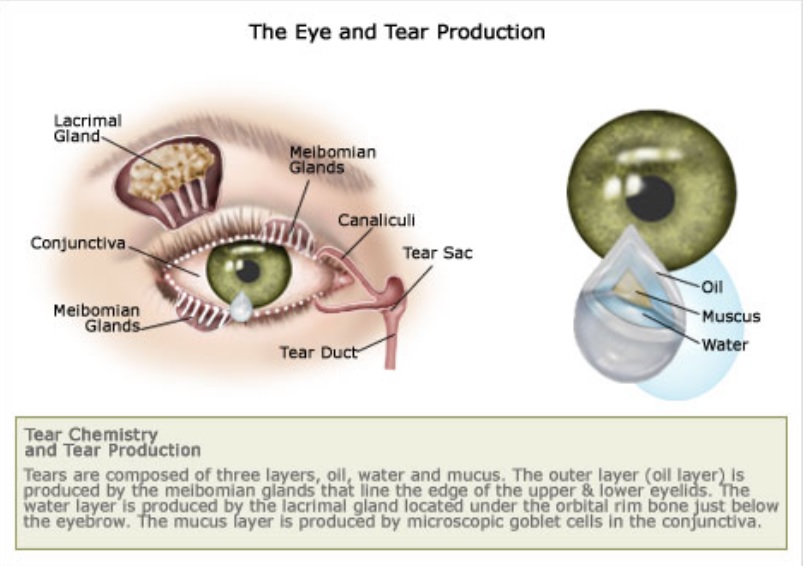 dry-eyes-tear-production-symptoms-chronic-dry-eyes